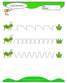 Çizgi Çalışma Sayfaları